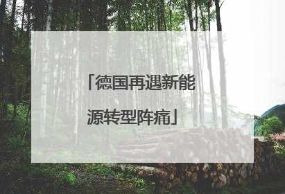 德国再遇新能源转型阵痛
