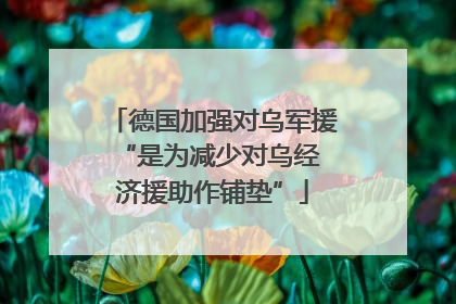 德国加强对乌军援 “是为减少对乌经济援助作铺垫”