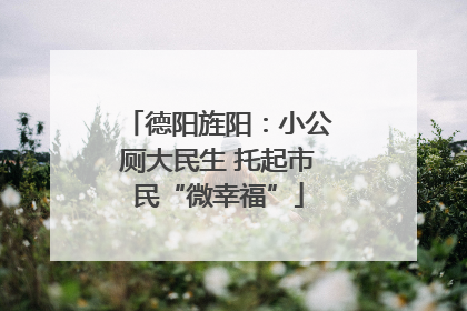 德阳旌阳：小公厕大民生 托起市民“微幸福”