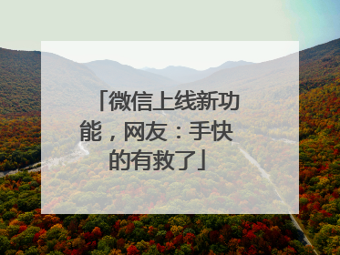 微信上线新功能，网友：手快的有救了