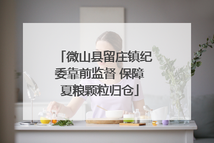 微山县留庄镇纪委靠前监督 保障夏粮颗粒归仓