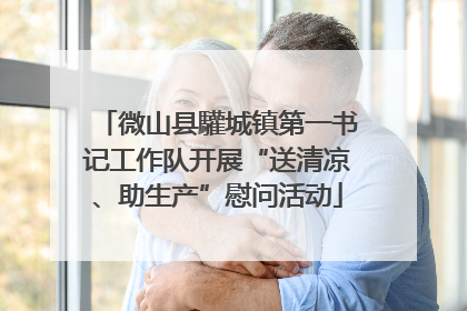 微山县驩城镇第一书记工作队开展“送清凉、助生产”慰问活动