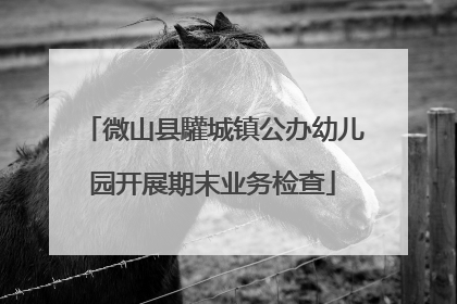 微山县驩城镇公办幼儿园开展期末业务检查
