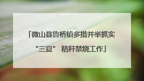 微山县鲁桥镇多措并举抓实 “三夏” 秸秆禁烧工作