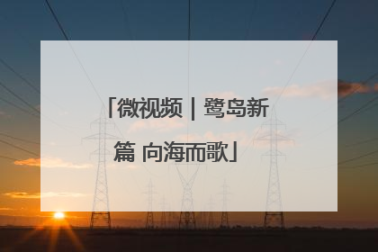 微视频｜鹭岛新篇 向海而歌