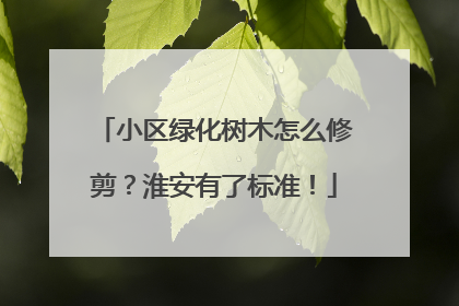 小区绿化树木怎么修剪？淮安有了标准！