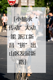 小轴承“传动”大动能 浙江新昌“拼”出山区发展新路