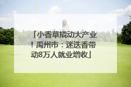 小香草撬动大产业！禹州市：迷迭香带动8万人就业增收