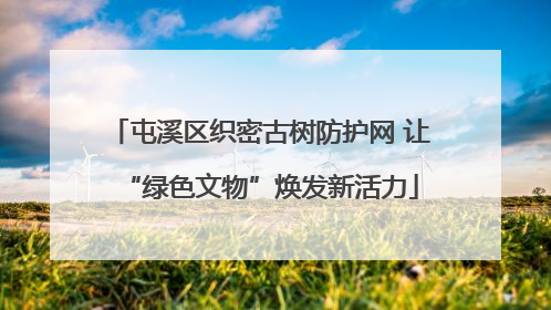 屯溪区织密古树防护网 让“绿色文物”焕发新活力