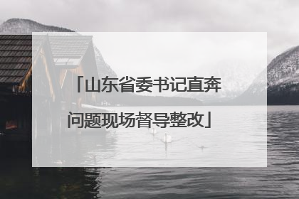 山东省委书记直奔问题现场督导整改