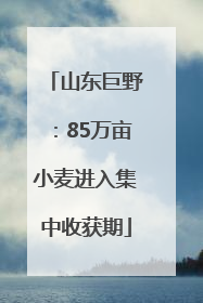 山东巨野：85万亩小麦进入集中收获期