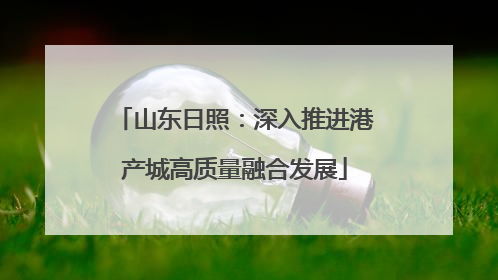 山东日照：深入推进港产城高质量融合发展