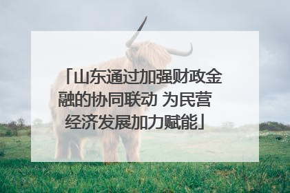 山东通过加强财政金融的协同联动 为民营经济发展加力赋能