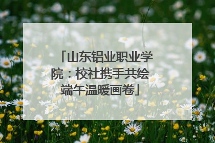 山东铝业职业学院：校社携手共绘端午温暖画卷