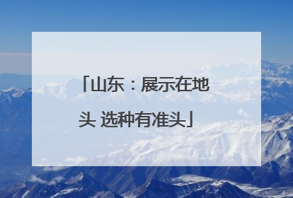 山东：展示在地头 选种有准头