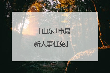 山东1市最新人事任免
