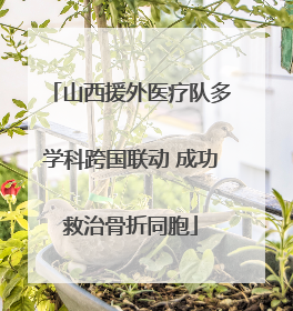 山西援外医疗队多学科跨国联动 成功救治骨折同胞