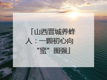 山西晋城养蜂人：一颗初心向“蜜”图强