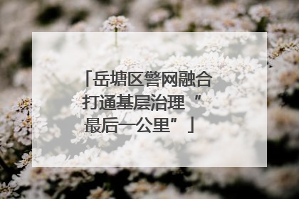岳塘区警网融合 打通基层治理“最后一公里”