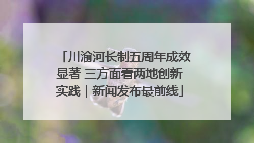 川渝河长制五周年成效显著 三方面看两地创新实践｜新闻发布最前线