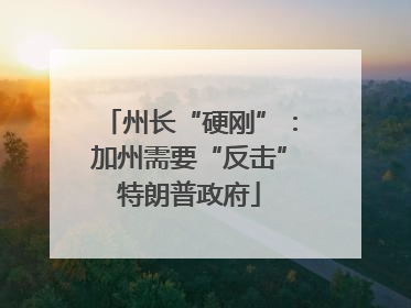 州长“硬刚”：加州需要“反击”特朗普政府