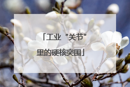 工业“关节”里的硬核突围