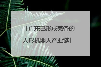 广东已形成完备的人形机器人产业链