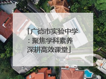 广德市实验中学：聚焦学科素养 深耕高效课堂