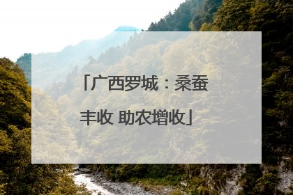 广西罗城：桑蚕丰收 助农增收