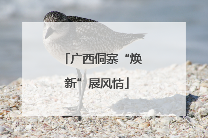 广西侗寨“焕新”展风情