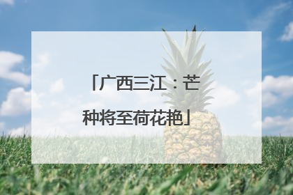 广西三江：芒种将至荷花艳