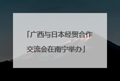 广西与日本经贸合作交流会在南宁举办