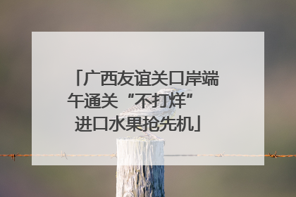 广西友谊关口岸端午通关“不打烊” 进口水果抢先机