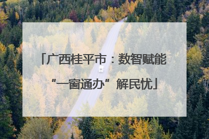 广西桂平市：数智赋能“一窗通办”解民忧