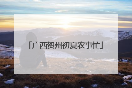 广西贺州初夏农事忙