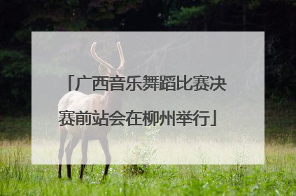广西音乐舞蹈比赛决赛前站会在柳州举行