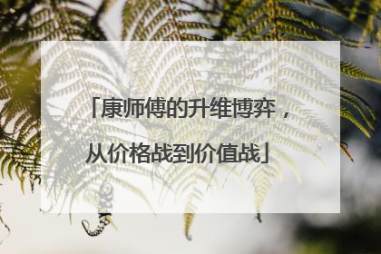康师傅的升维博弈，从价格战到价值战