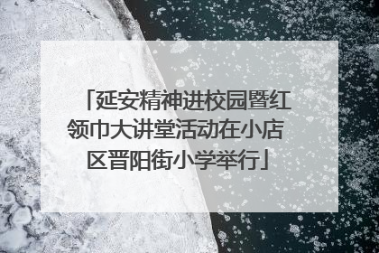延安精神进校园暨红领巾大讲堂活动在小店区晋阳街小学举行