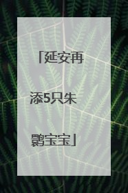 延安再添5只朱鹮宝宝