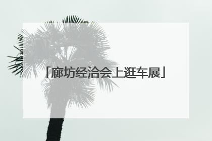 廊坊经洽会上逛车展