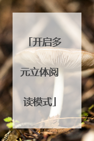 开启多元立体阅读模式