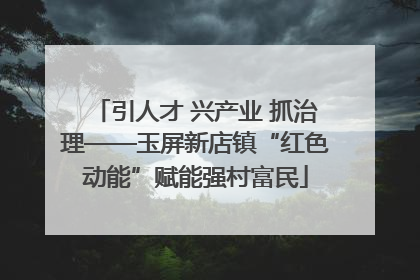 引人才 兴产业 抓治理——玉屏新店镇“红色动能”赋能强村富民