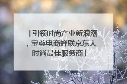 引领时尚产业新浪潮，宝尊电商蝉联京东大时尚最佳服务商
