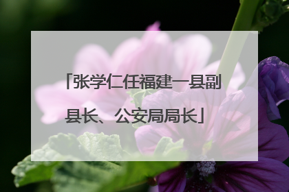 张学仁任福建一县副县长、公安局局长