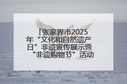 张家界市2025年“文化和自然遗产日”非遗宣传展示暨“非遗购物节”活动在慈利县盛大启幕