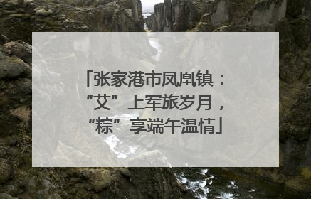 张家港市凤凰镇：“艾”上军旅岁月，“粽”享端午温情