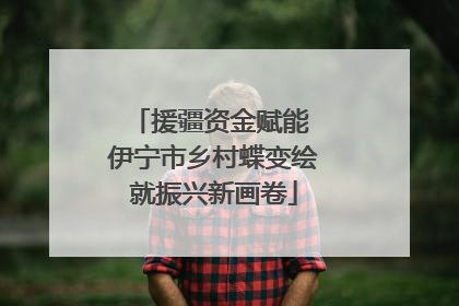 援疆资金赋能 伊宁市乡村蝶变绘就振兴新画卷