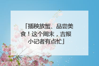 插秧放蟹、品尝美食！这个周末，吉报小记者有点忙