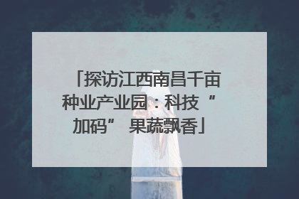 探访江西南昌千亩种业产业园：科技“加码” 果蔬飘香