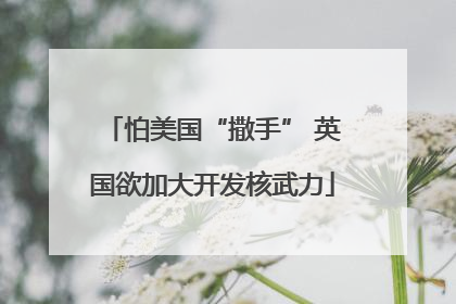 怕美国“撒手” 英国欲加大开发核武力